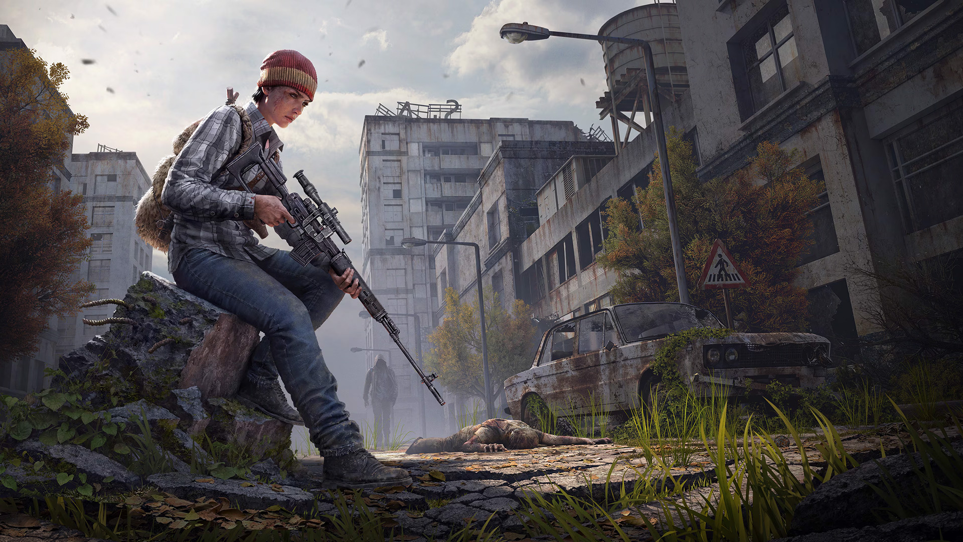 DayZ banner