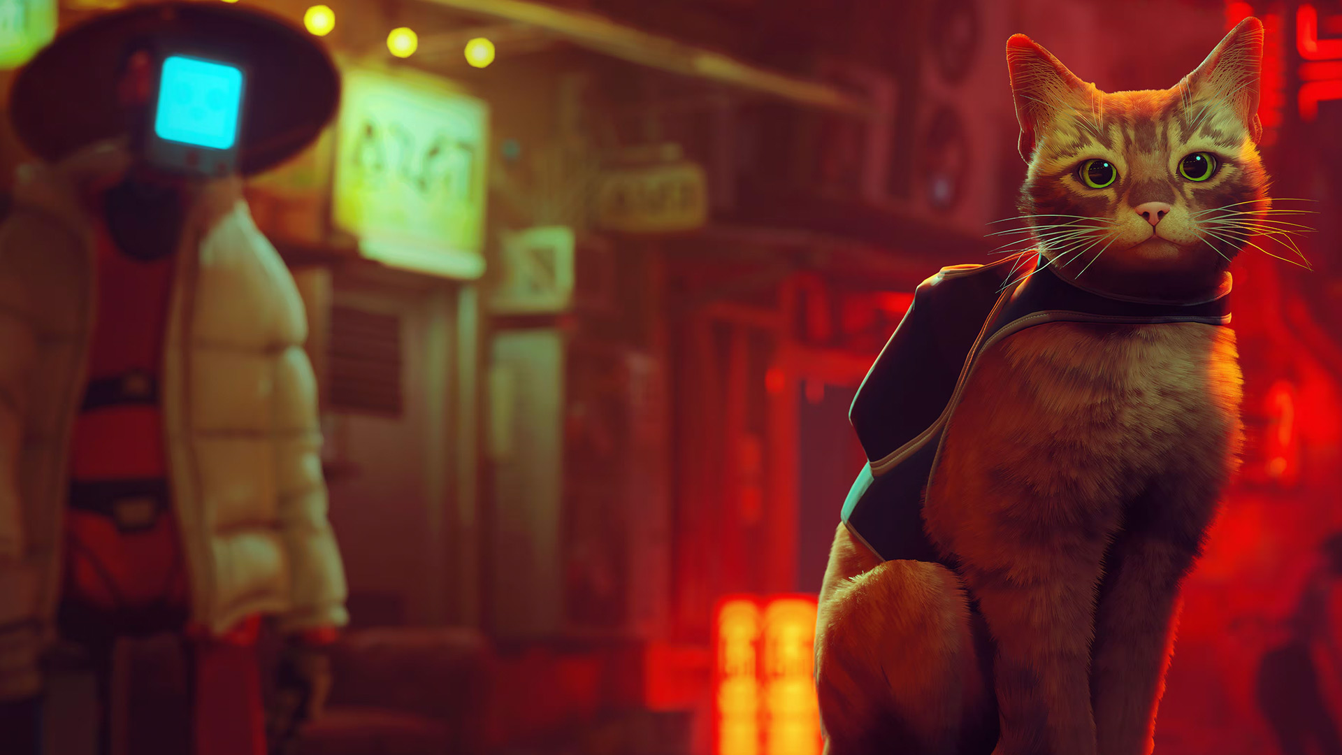 Stray banner